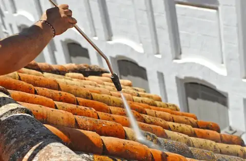 Démoussage de toiture à Clisson